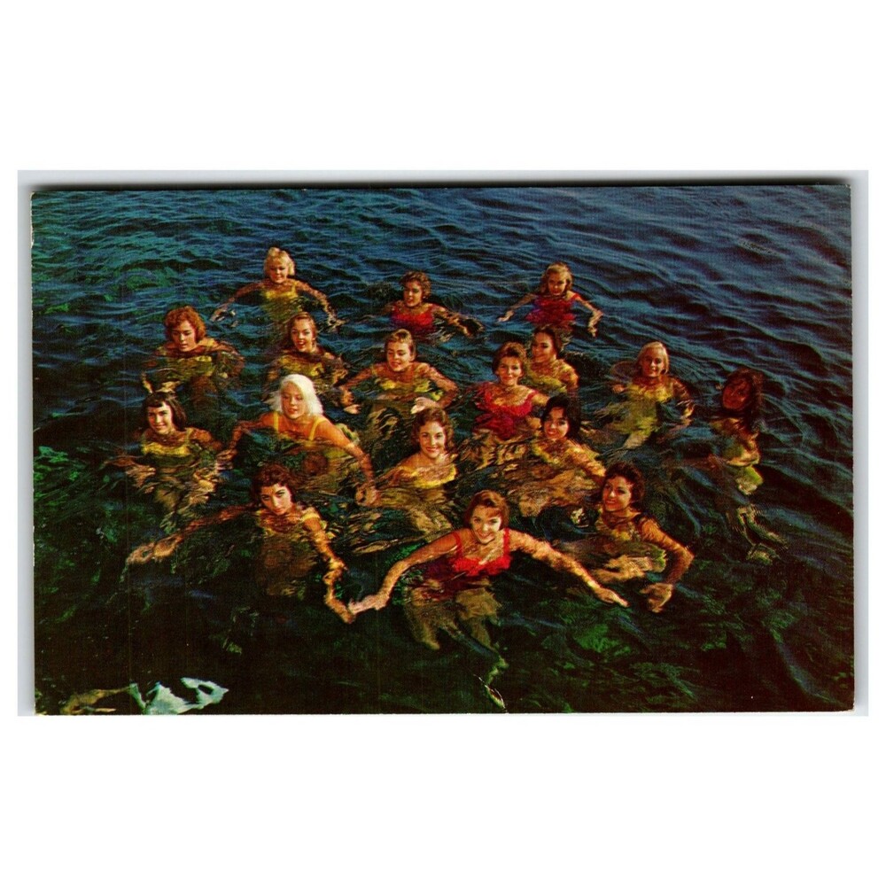 Weeki Wachee Florida Mermaids Underwater Revue Postcard 1960s Ted Lagerberg